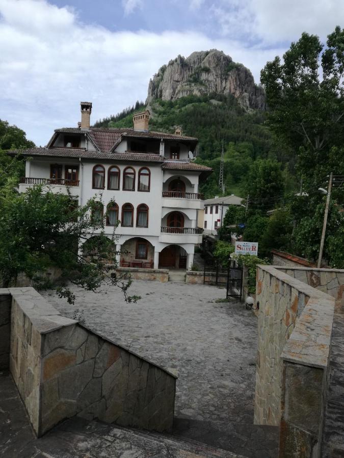Family Hotel Silver Смолян Экстерьер фото